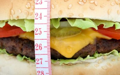 How Many Carbs Should I Eat A Day To Lose Weight – Weight Loss Tips
